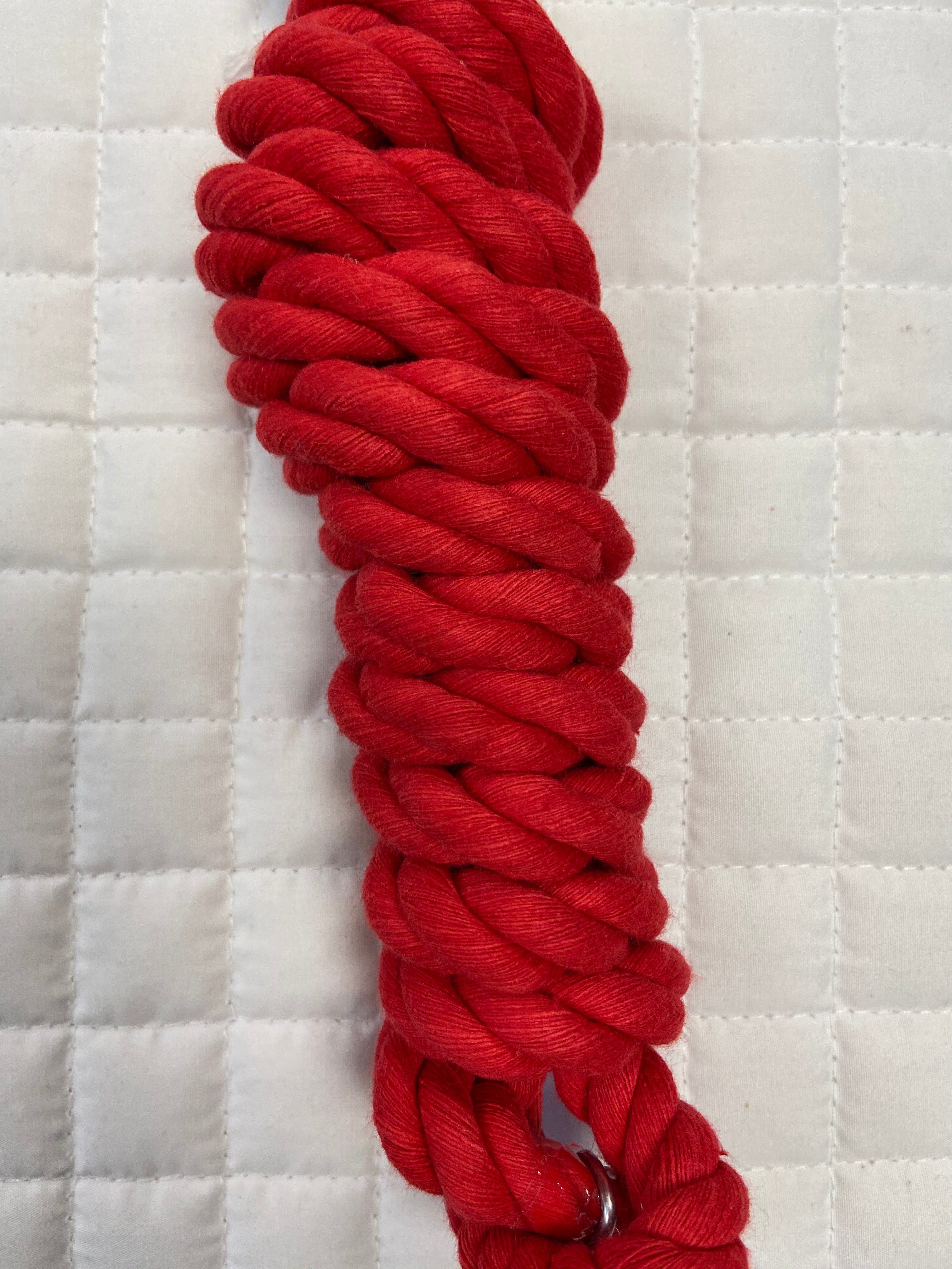 Cotton Lead Rope Solid Color W Chain