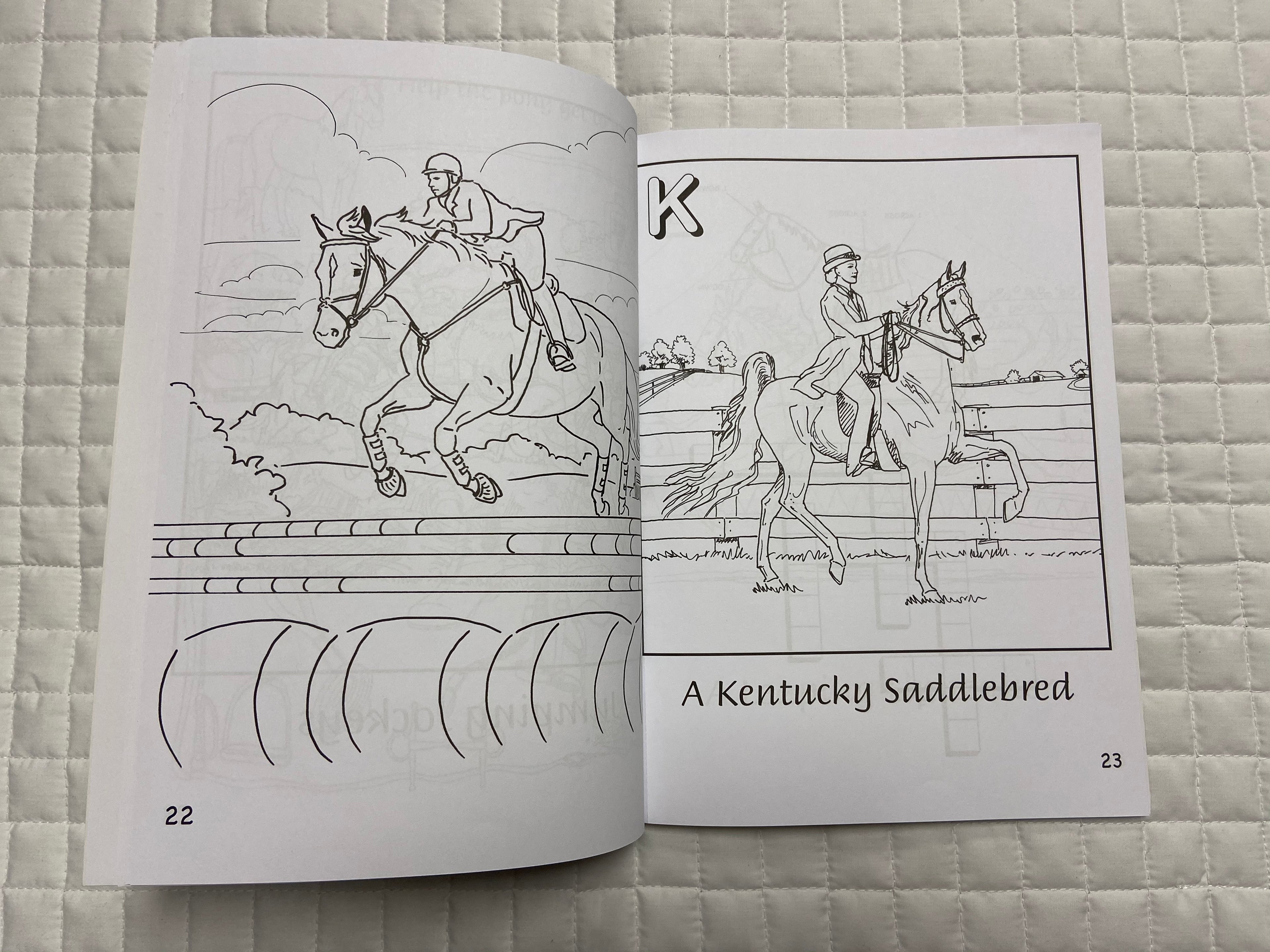 H is For Horse Breyer Coloring Book
