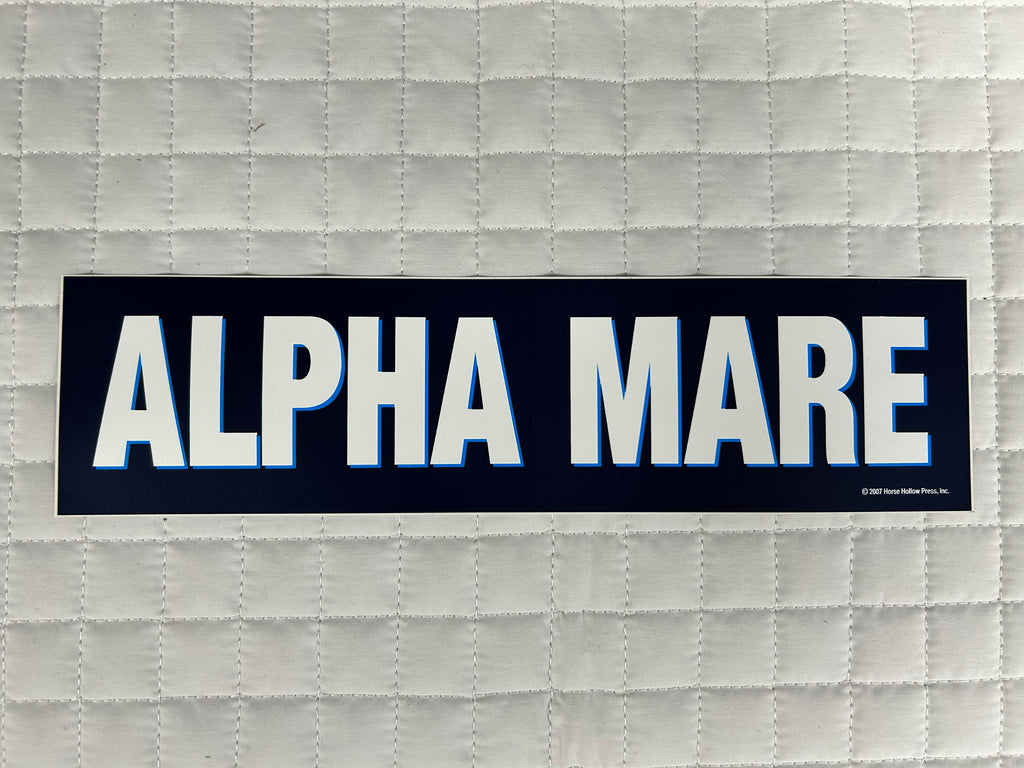 Bumper Stickers 2