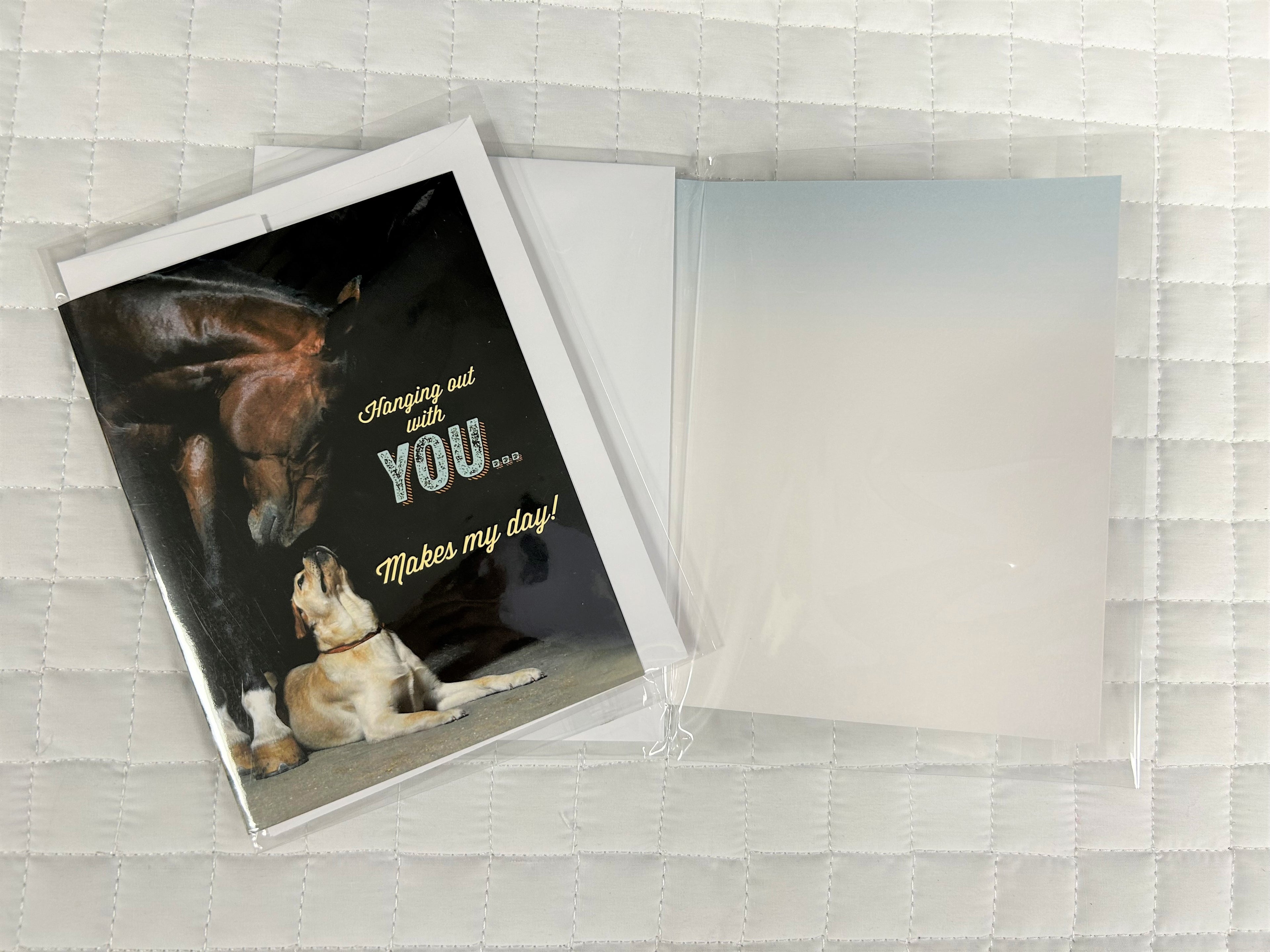 Blank Cards