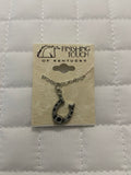 Silver Horseshoe w Onyx Necklace
