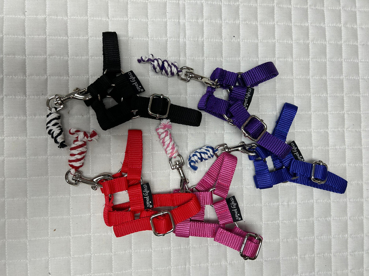 Crafty Ponies Halter and Lead