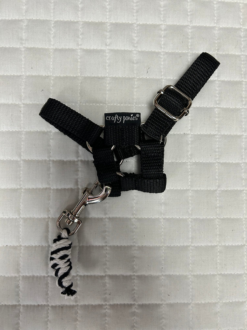 Crafty Ponies Halter and Lead