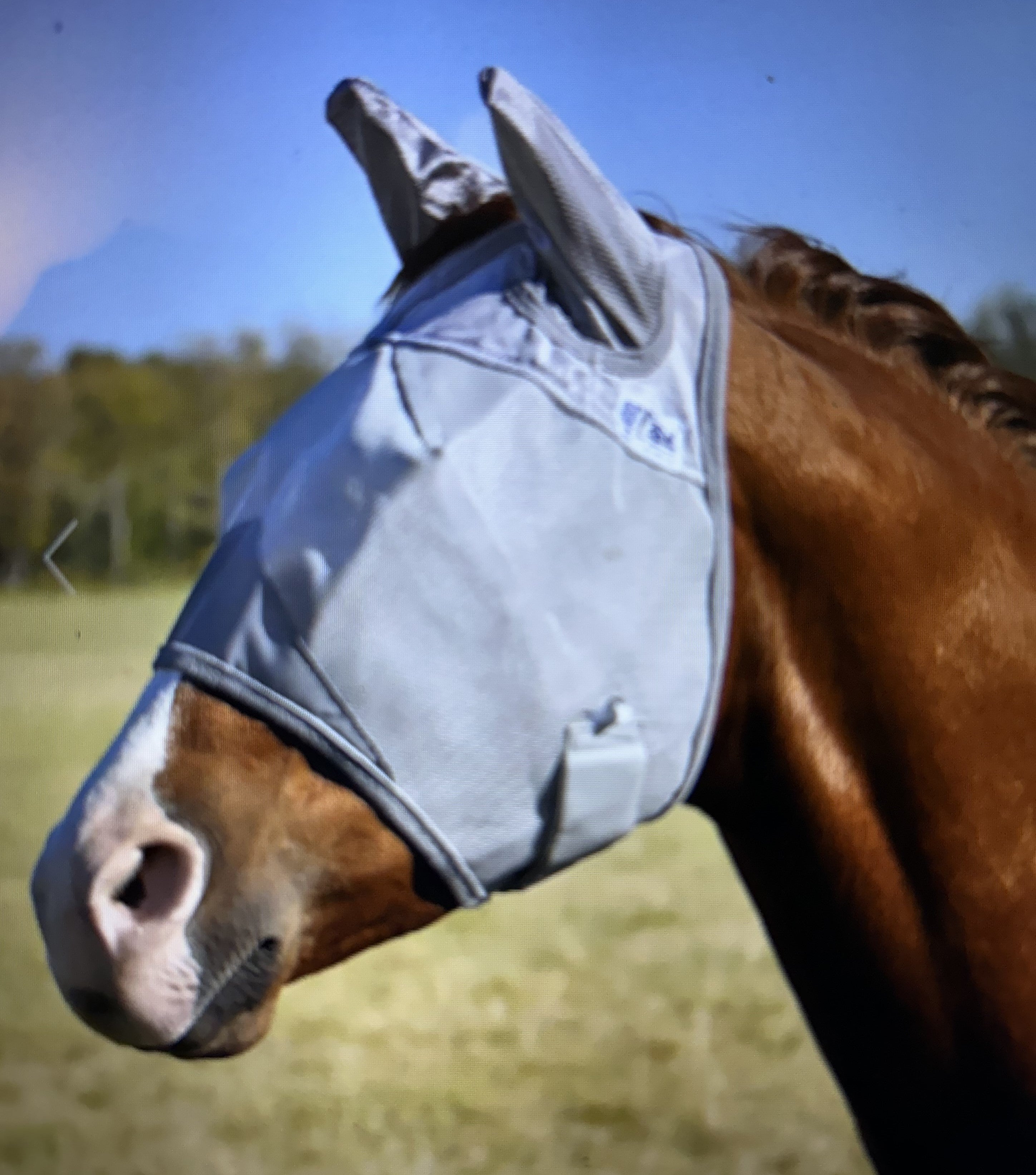Crusader Fly Mask