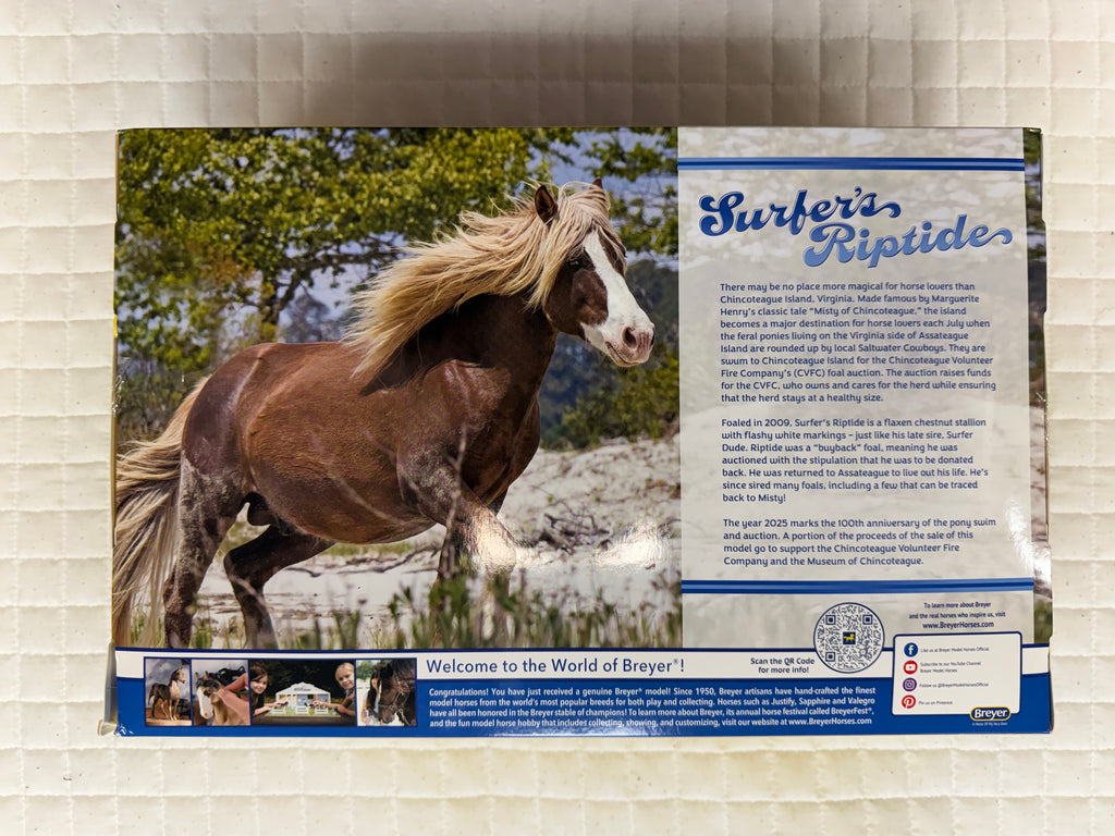 Surfer's Riptide Chincoteague Pony