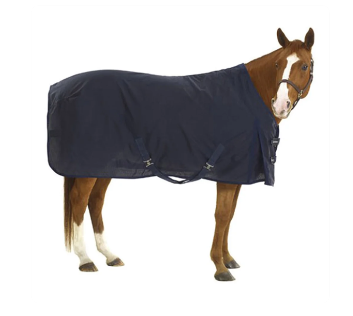 *SALE* Navy Equi-Essentials Stable Sheet
