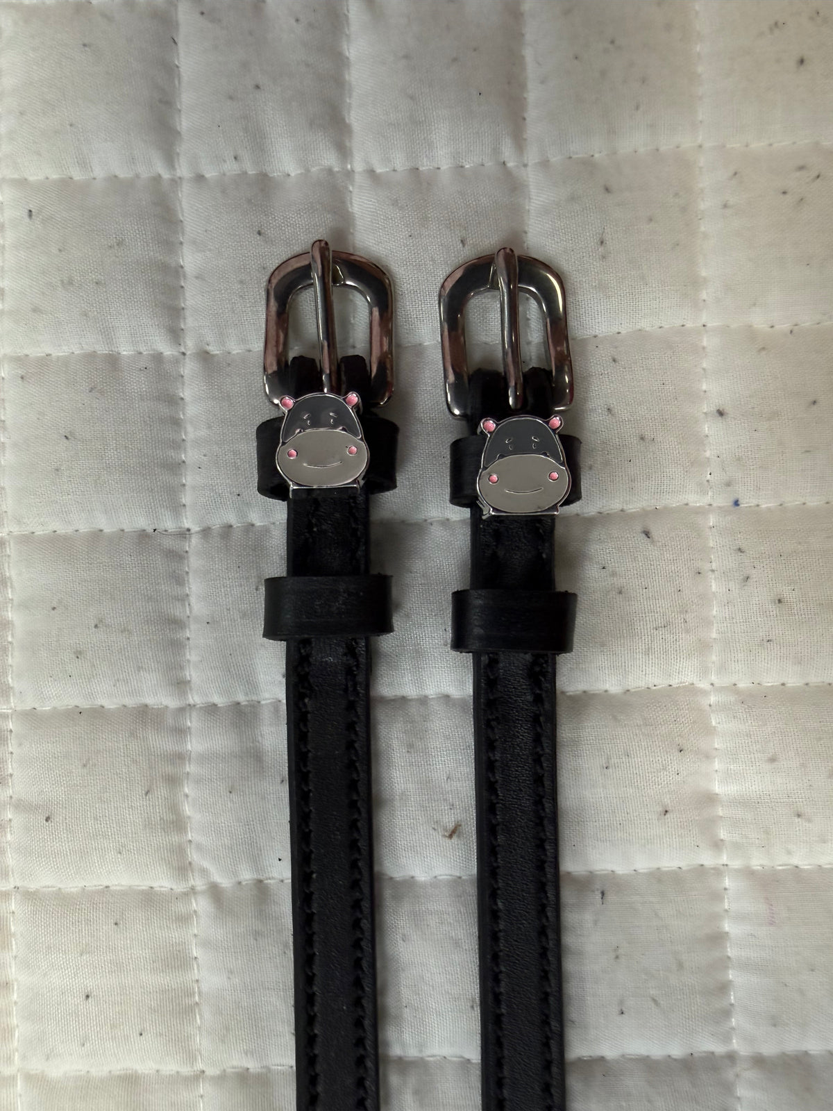 Mary Jane Spur Straps Group 5