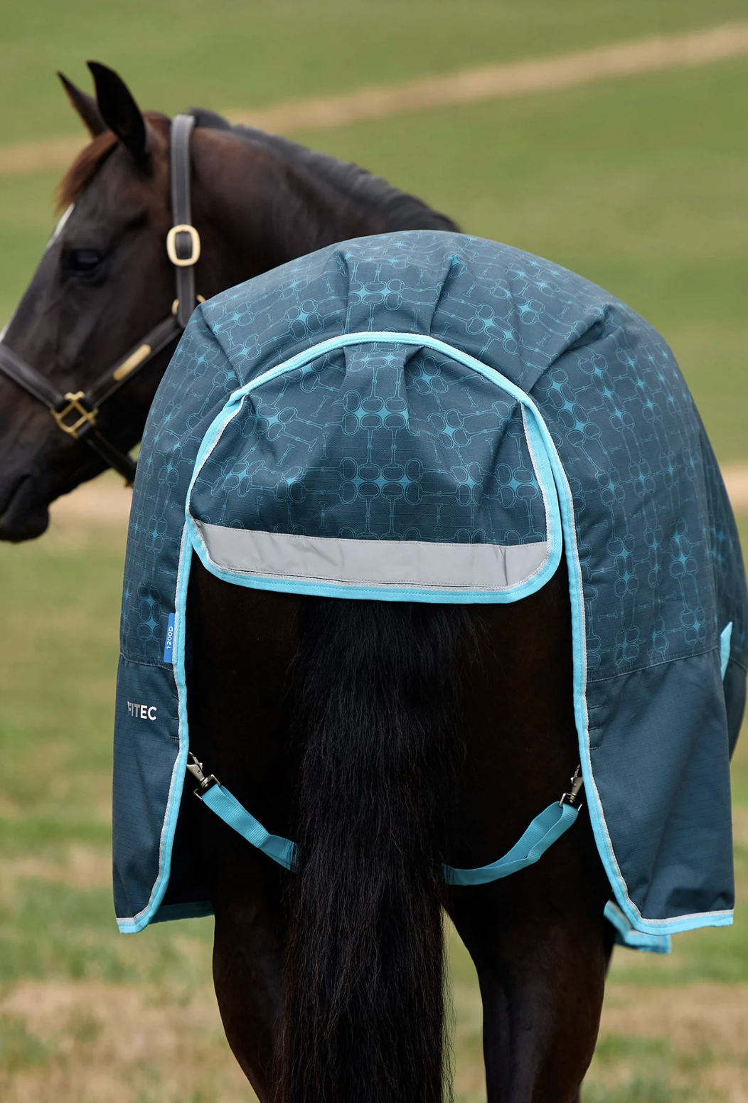 LIMITED EDITION WeatherBeeta Comfitec Medium Turnout 220G