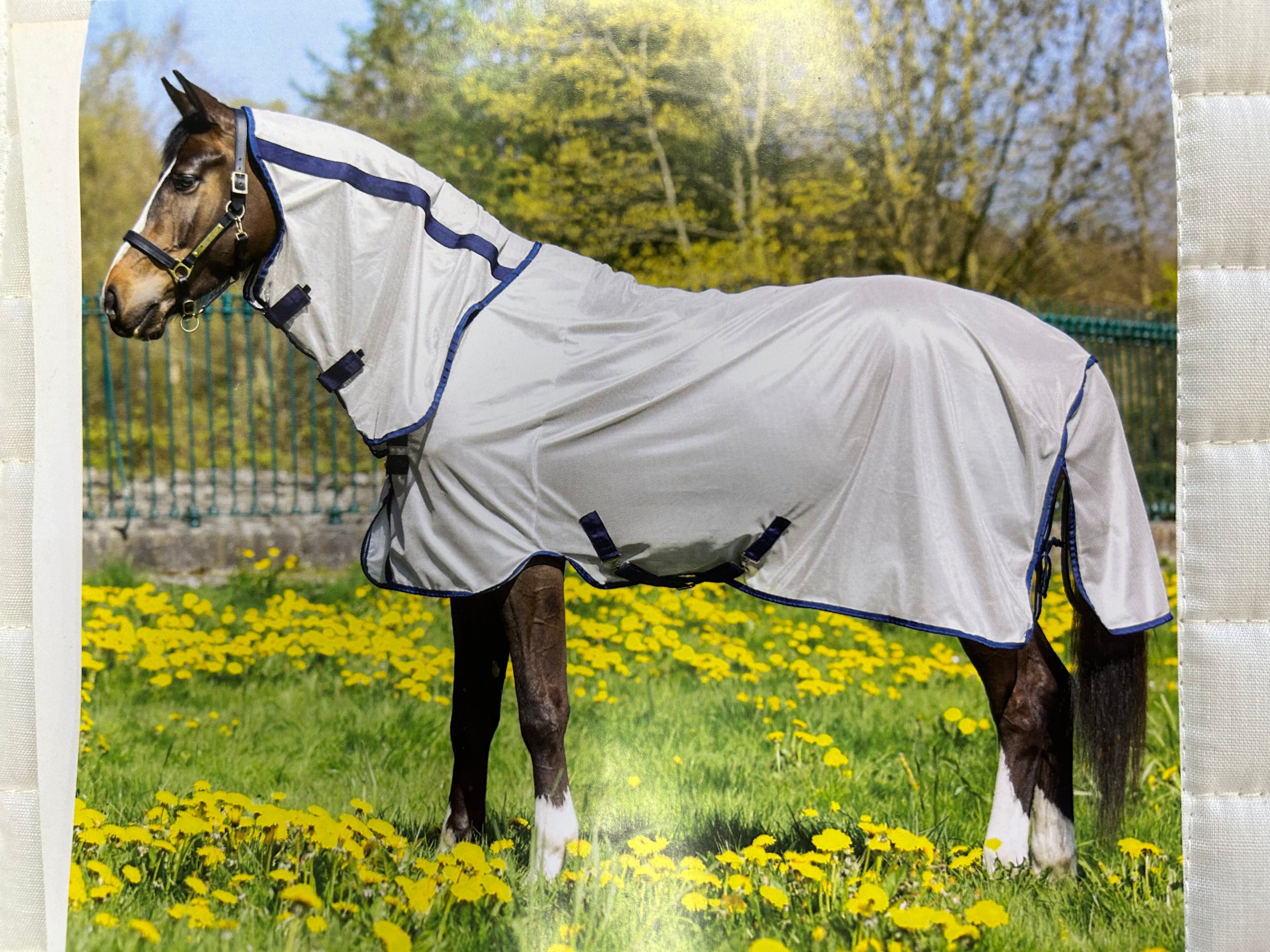 Amigo Mio Fly Sheet Rug