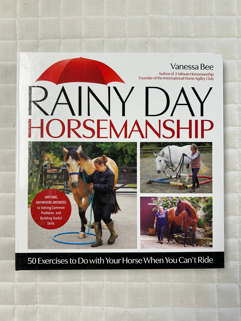 Rainy Day Horsemanship