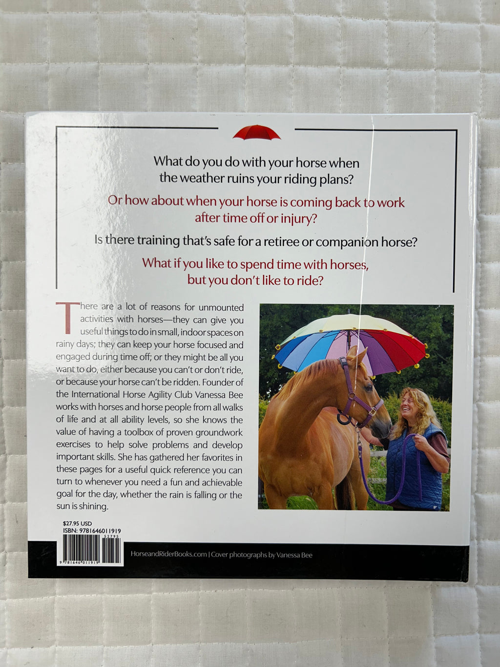 Rainy Day Horsemanship