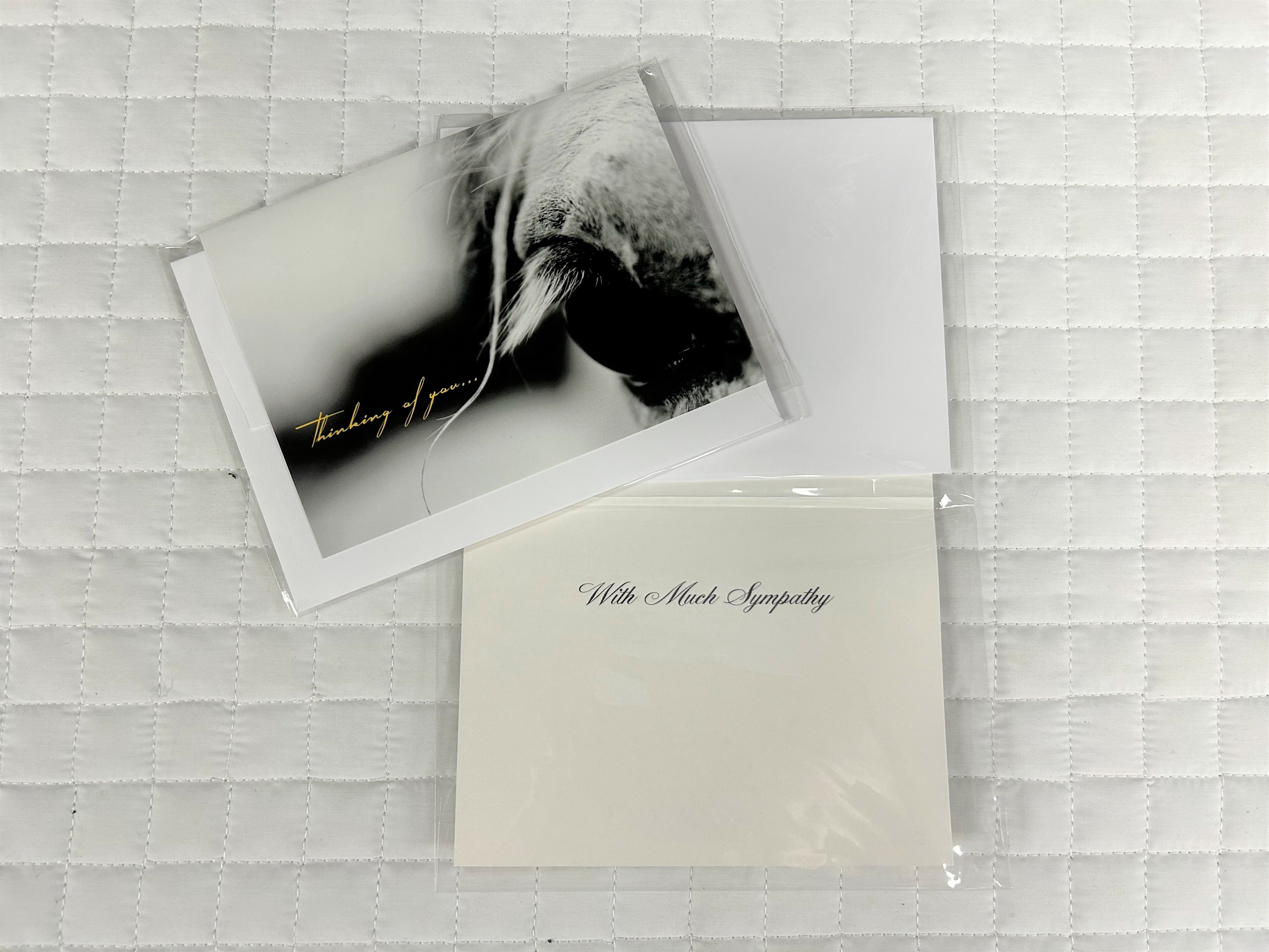 Sympathy Cards