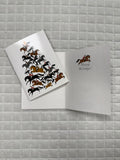 Christmas Holiday Cards