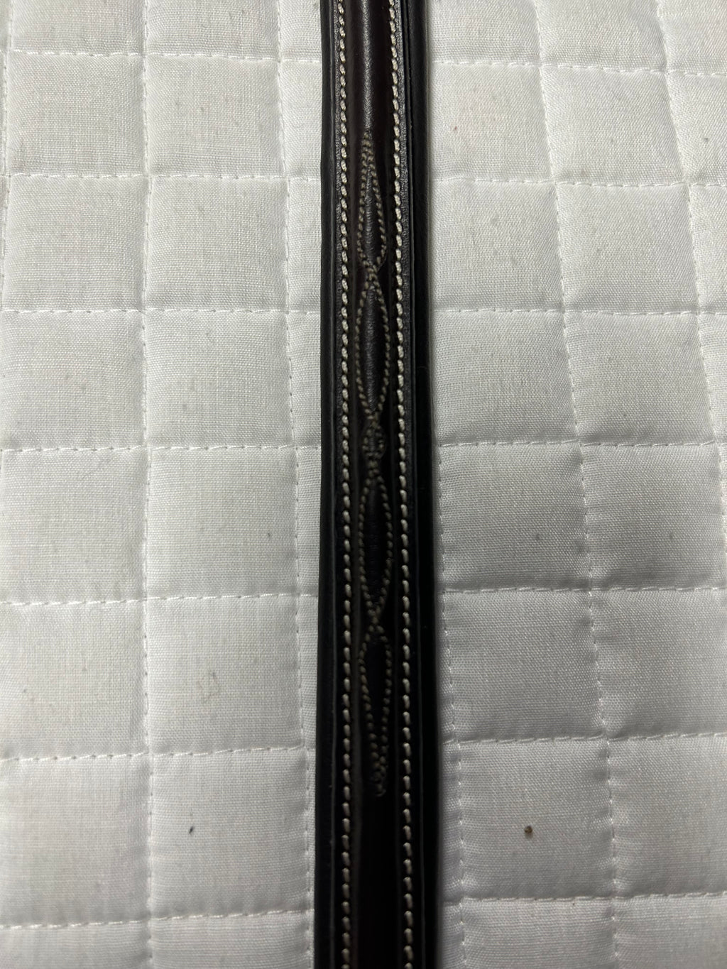 Avignon Standing Martingale