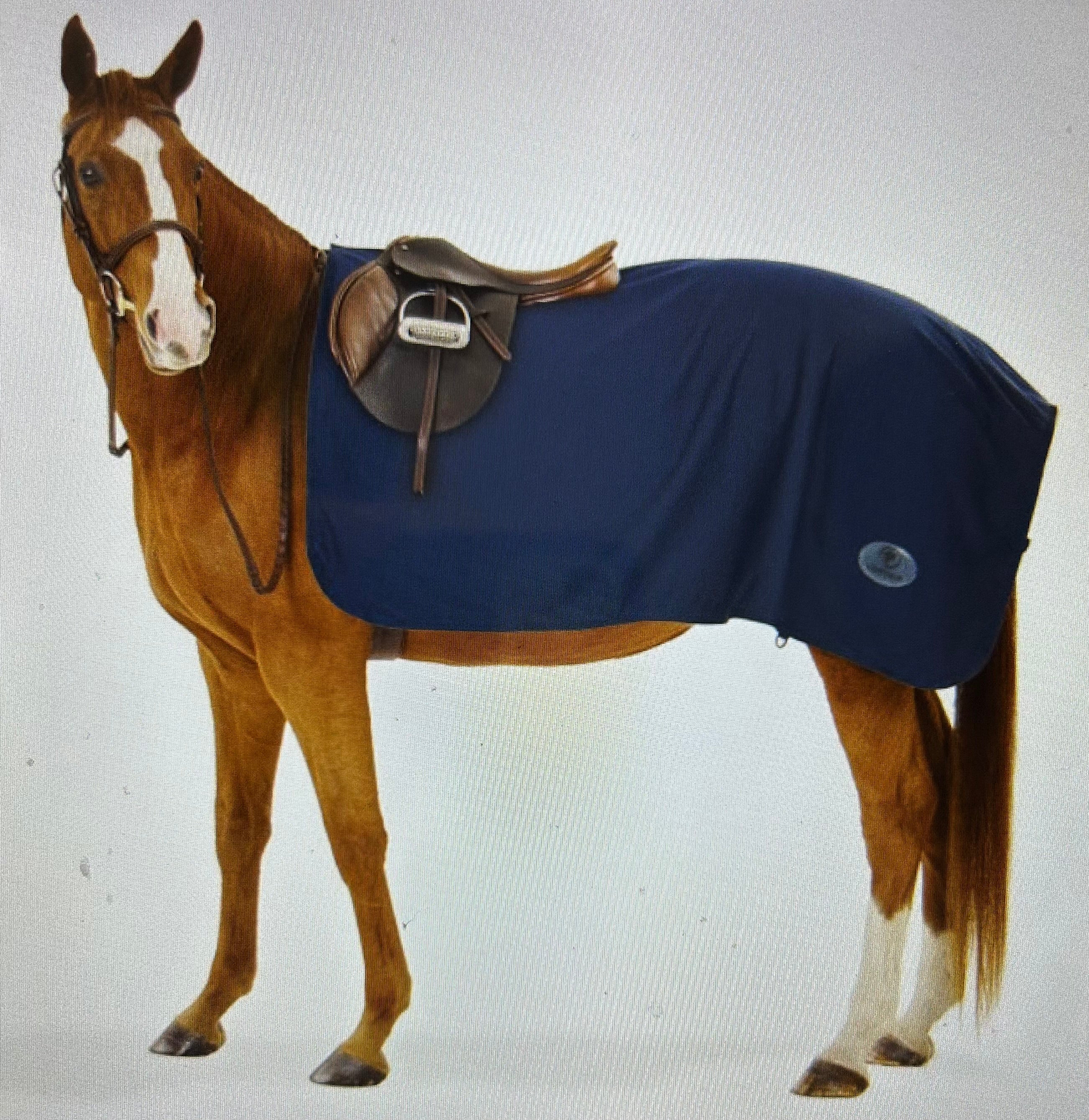 Centaur Turbo-Dry Exercise Quarter Sheet