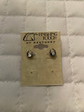 Silver Horseshoe w Crystals Earrings