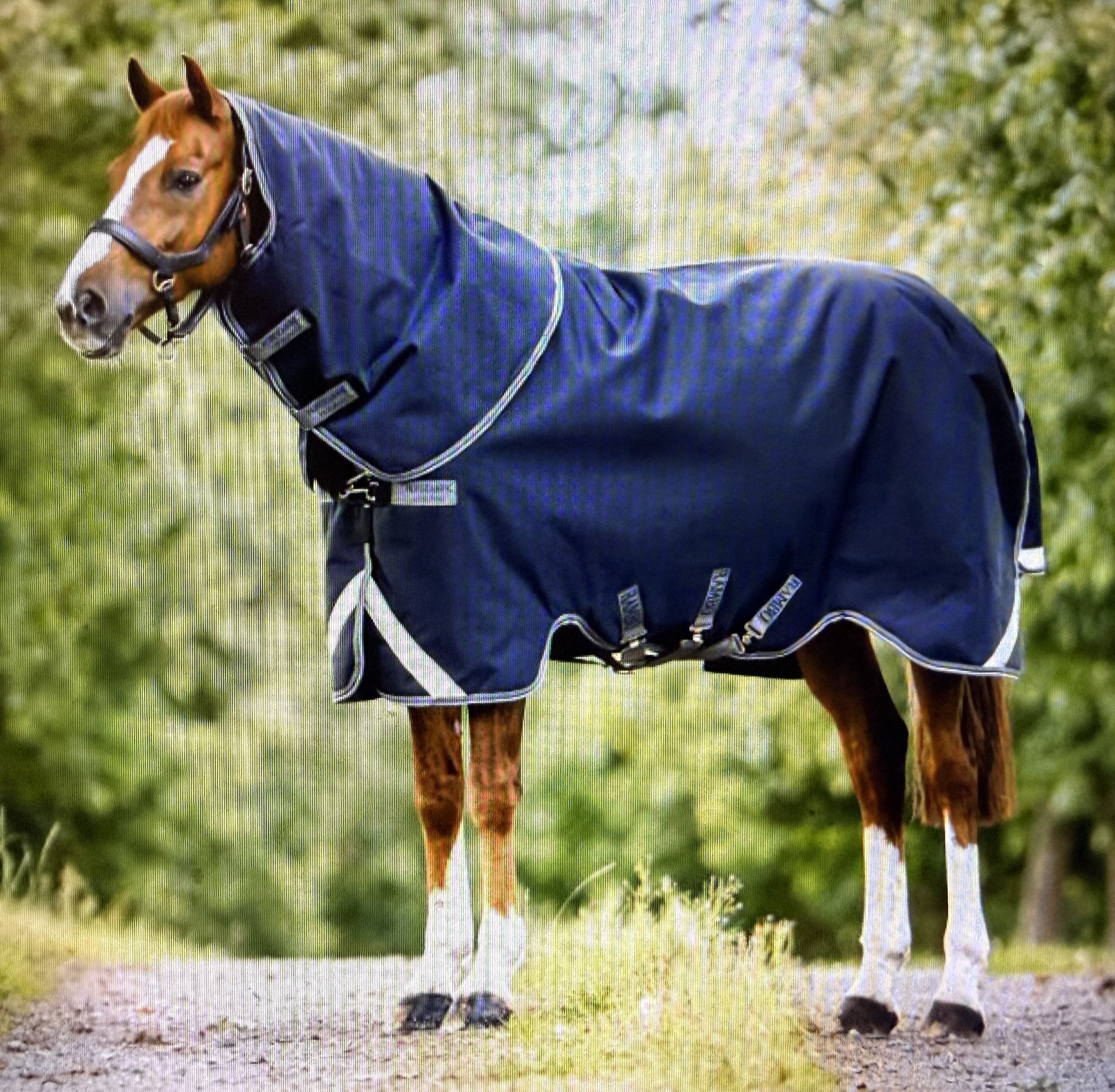 Rambo Supreme Turn Out Sheet (0 grams) w Neck
