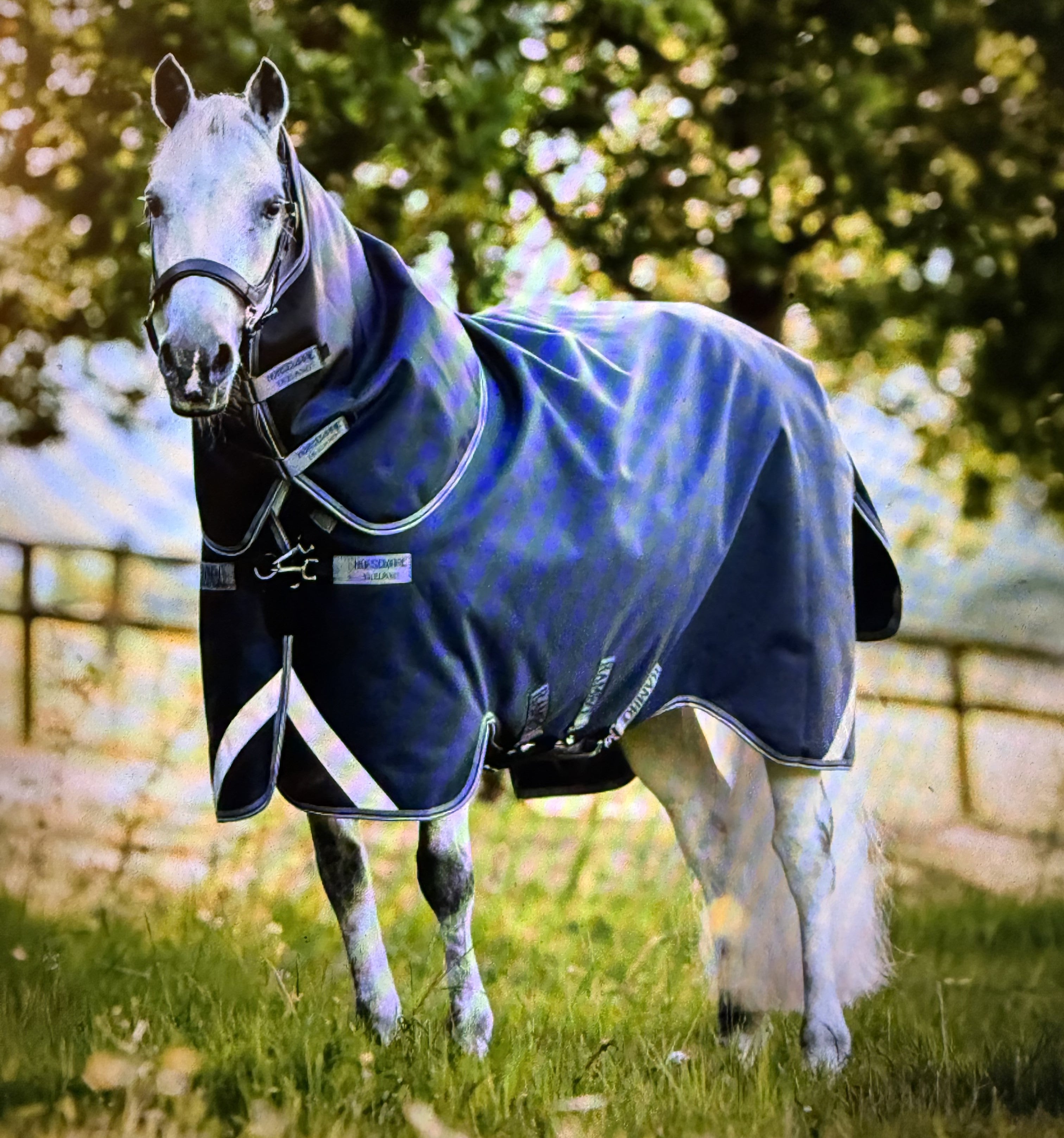 Rambo Supreme Turn Out Sheet (0 grams) w Neck